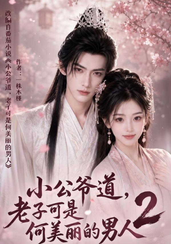 小公爷道，老子可是何美丽的男人2(全集)