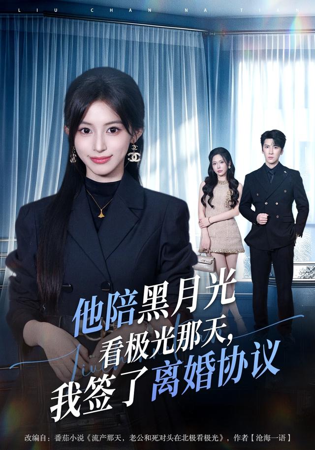 他陪黑月光看极光那天,我签了离婚协议(全集)